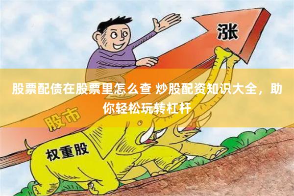 股票配债在股票里怎么查 炒股配资知识大全,助你轻松玩转杠杆