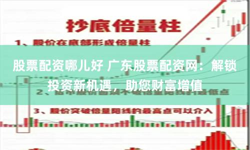股票配资哪儿好 广东股票配资网：解锁投资新机遇，助您财富增值