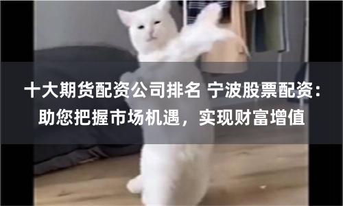 十大期货配资公司排名 宁波股票配资:助您把握市场机遇,实现财富增值